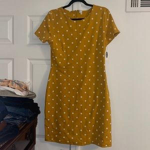 NWT polka dot dress